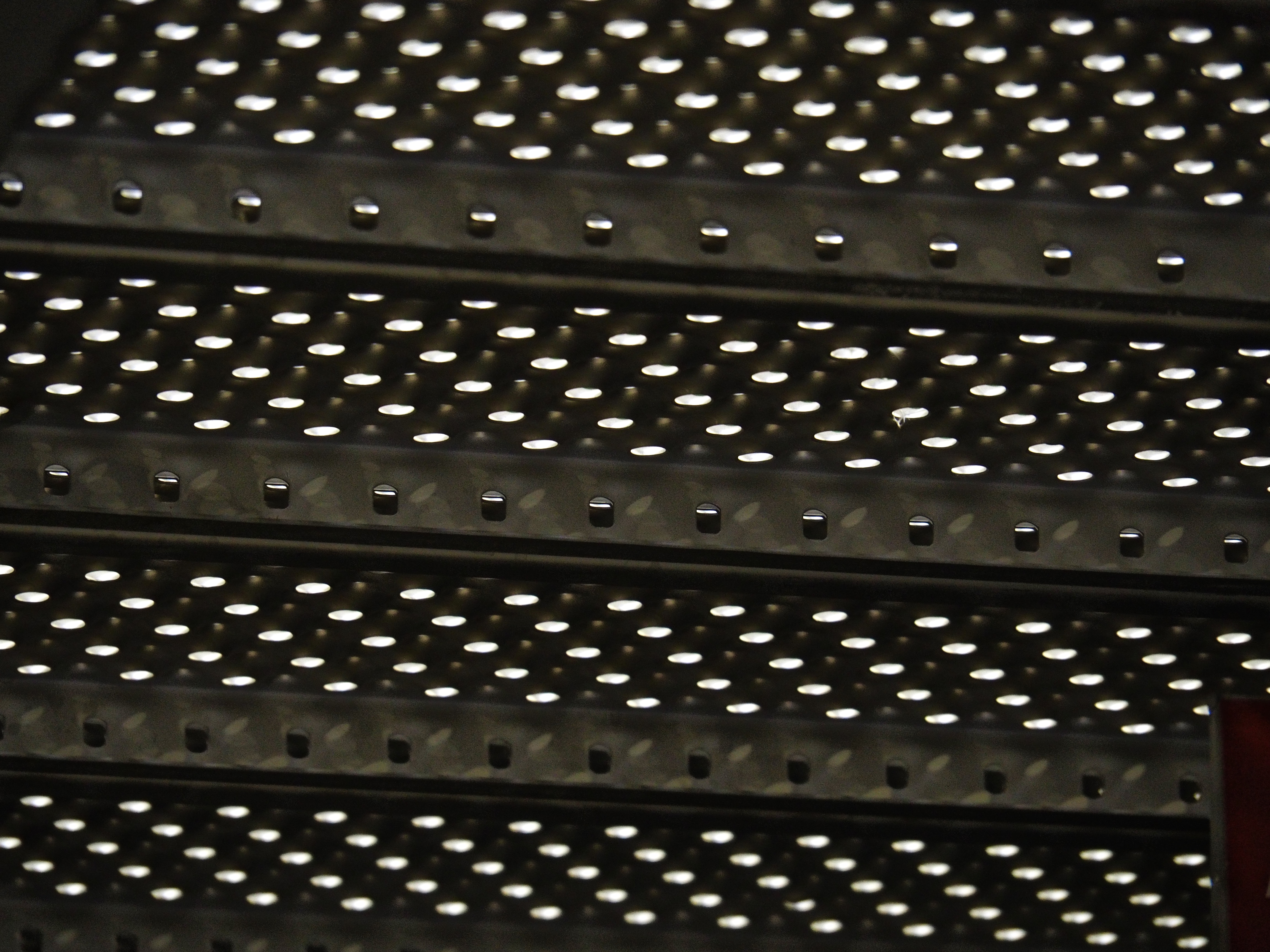 P8230050
