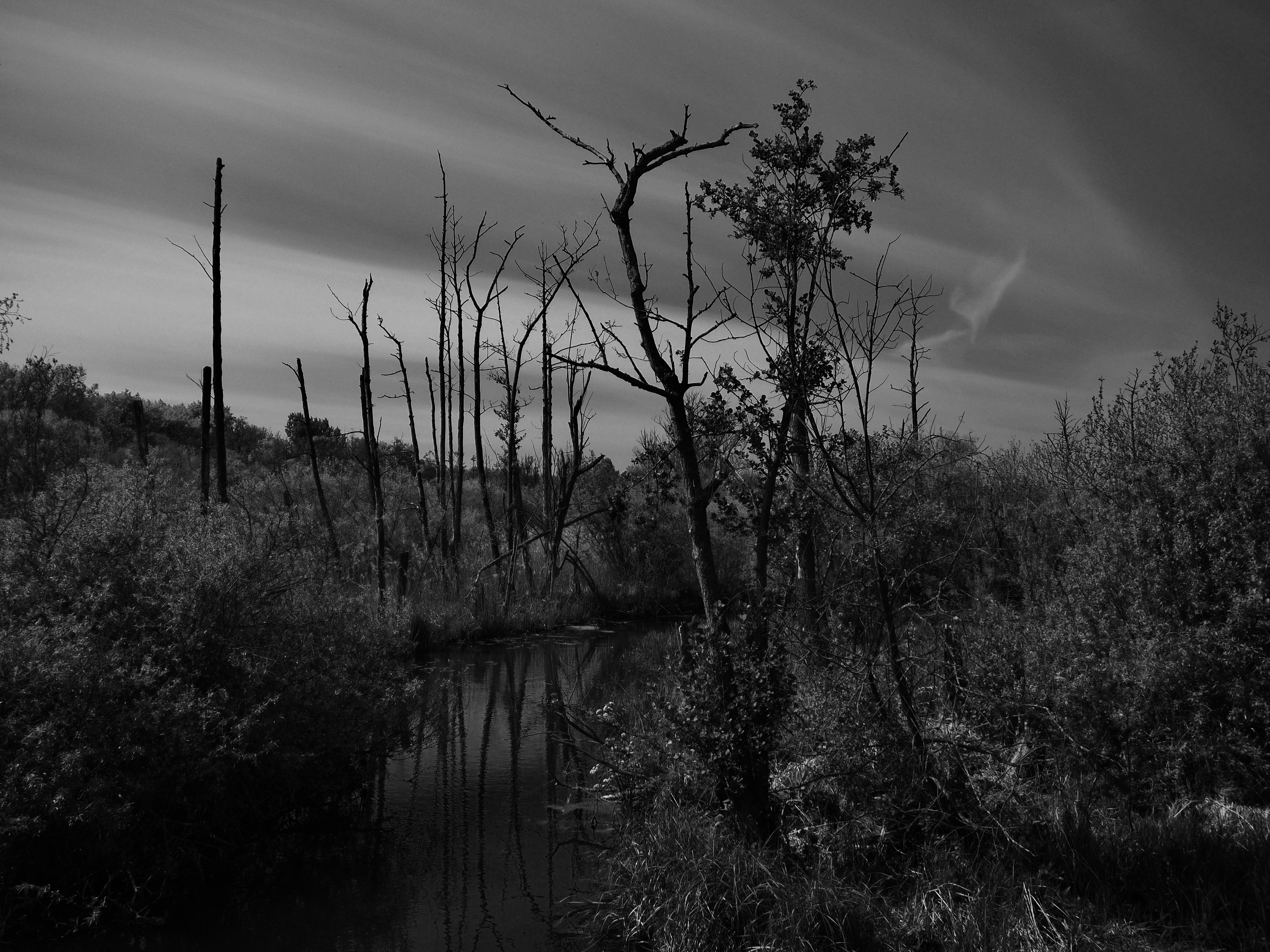 P5081252