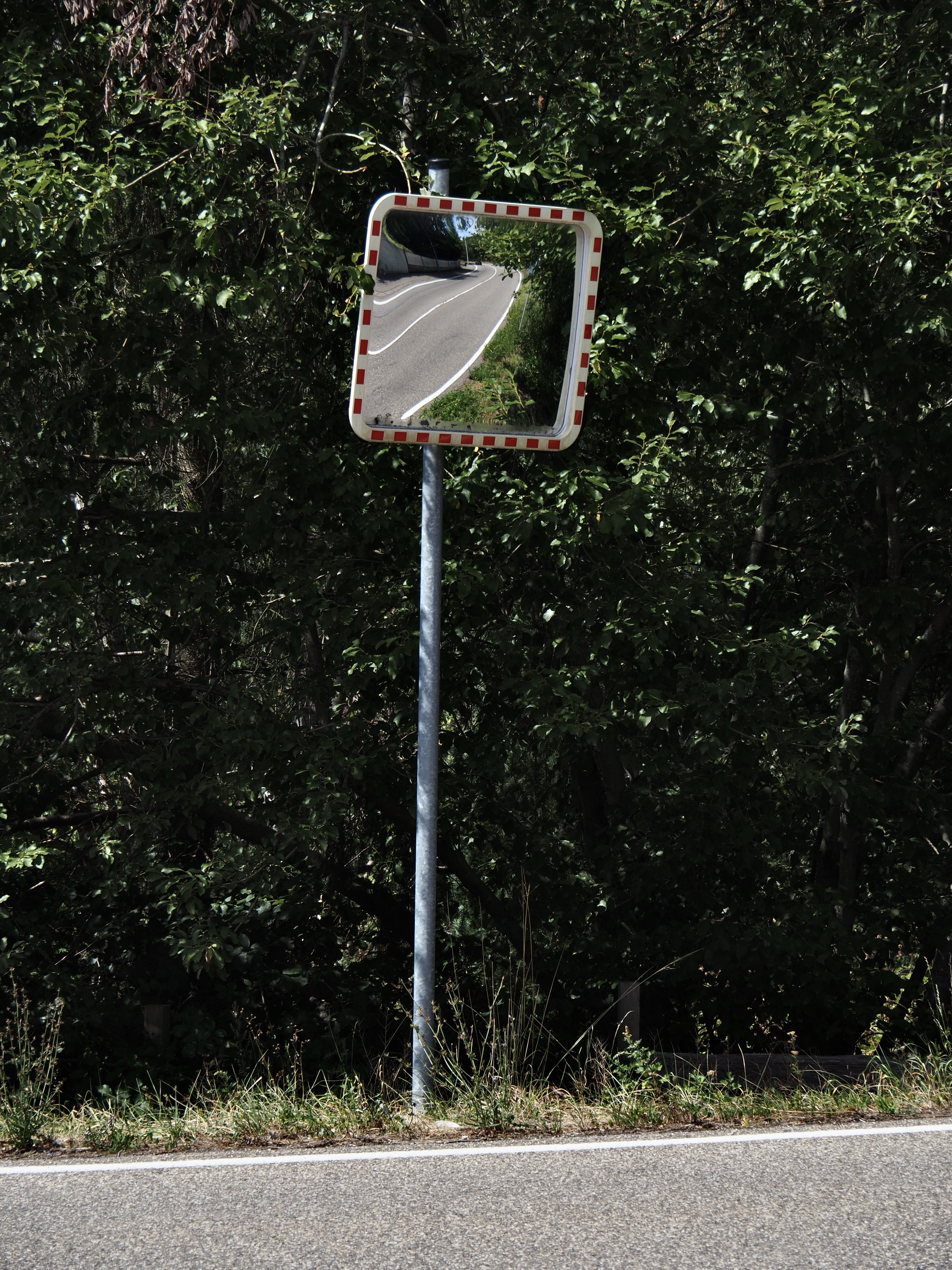 P8150205