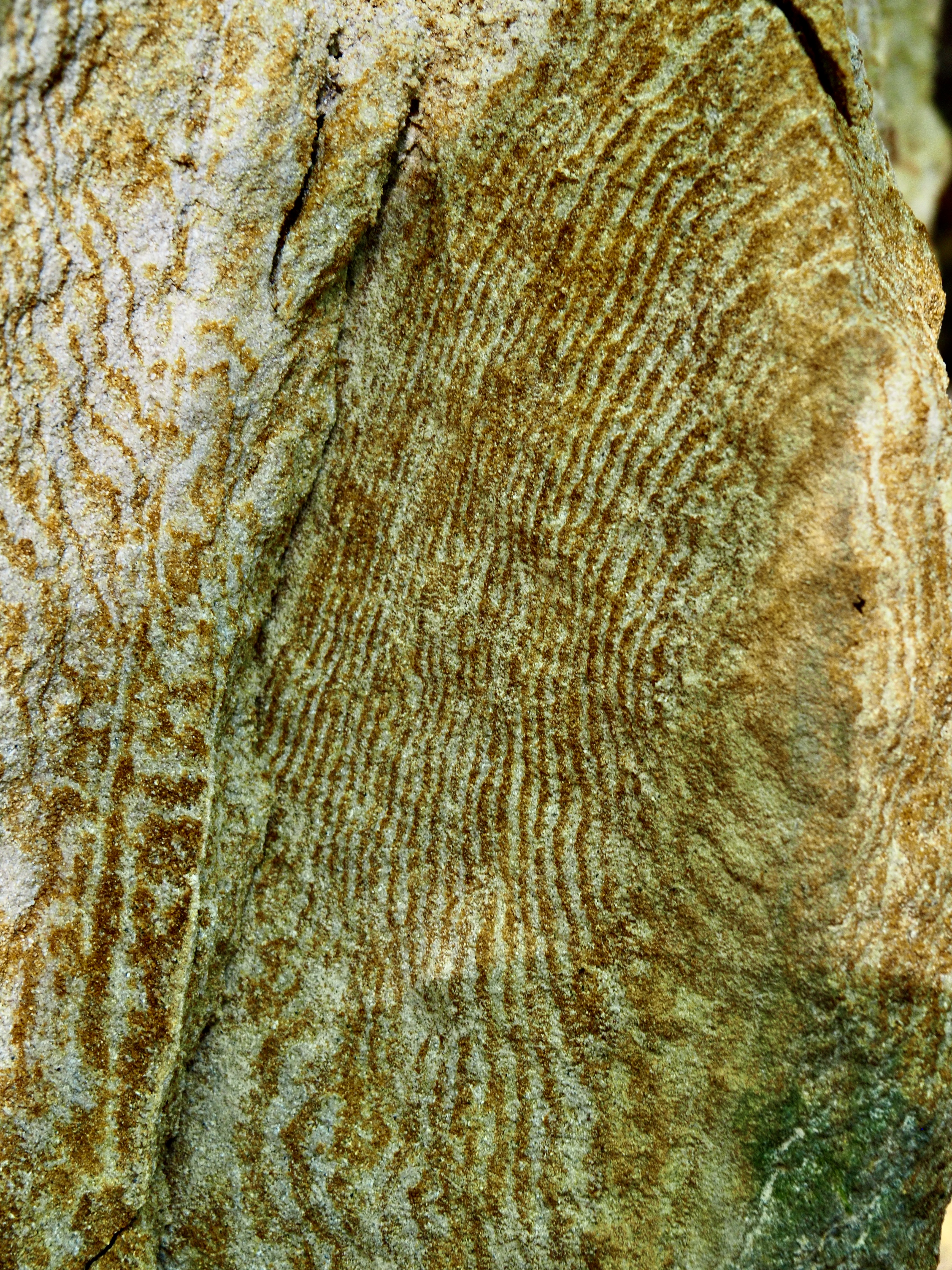 P8150216
