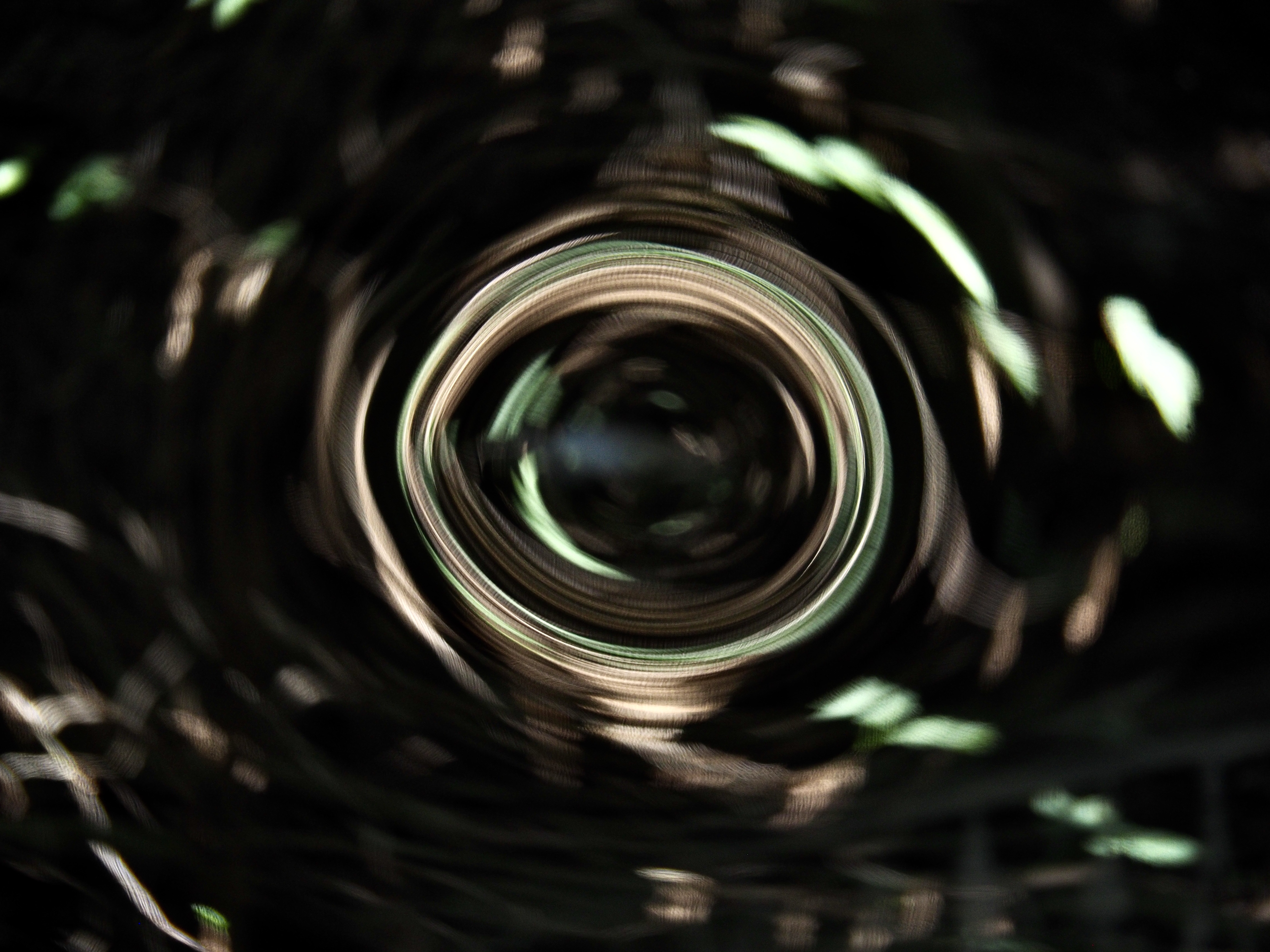 P8230305