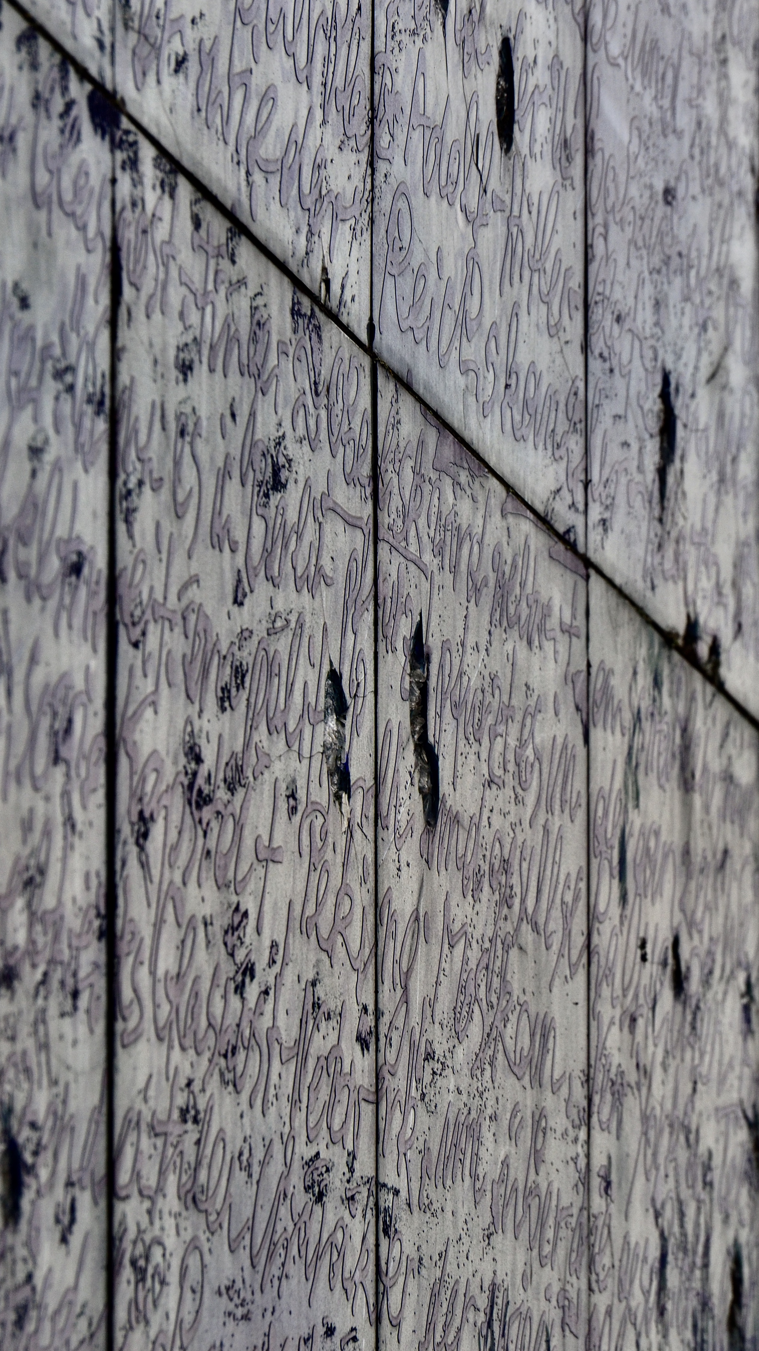 P5011672