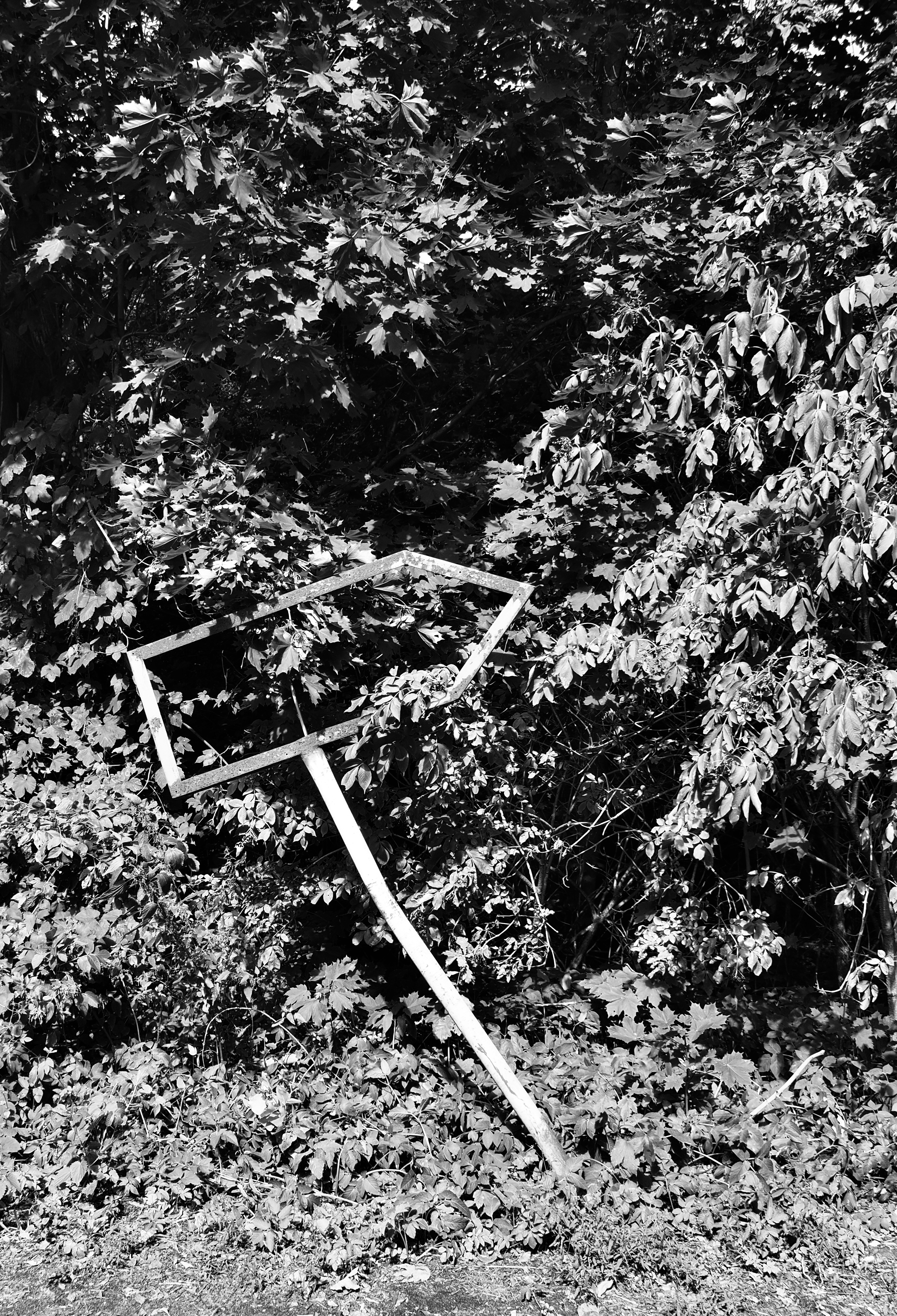 P8263527