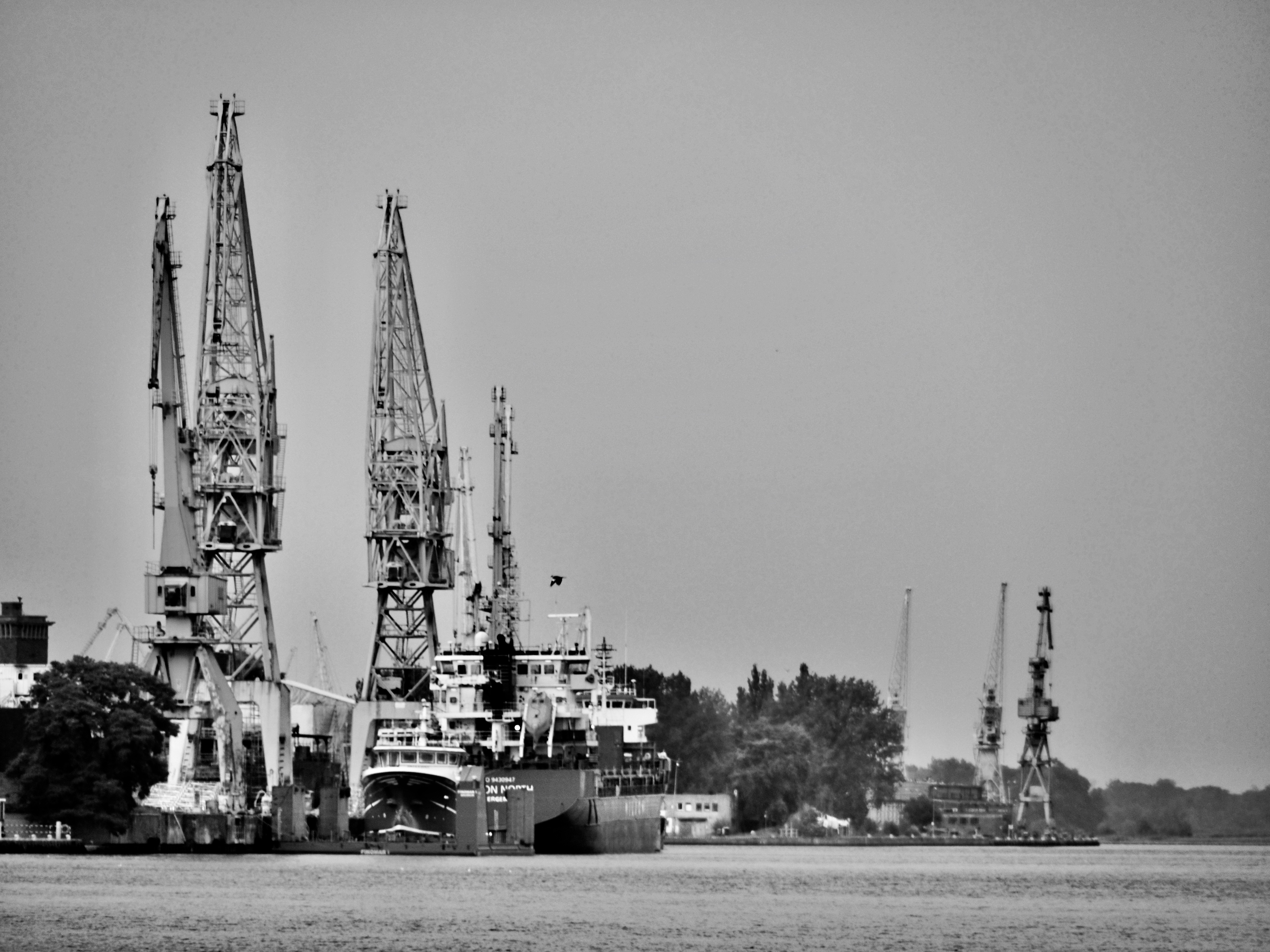 P8273626