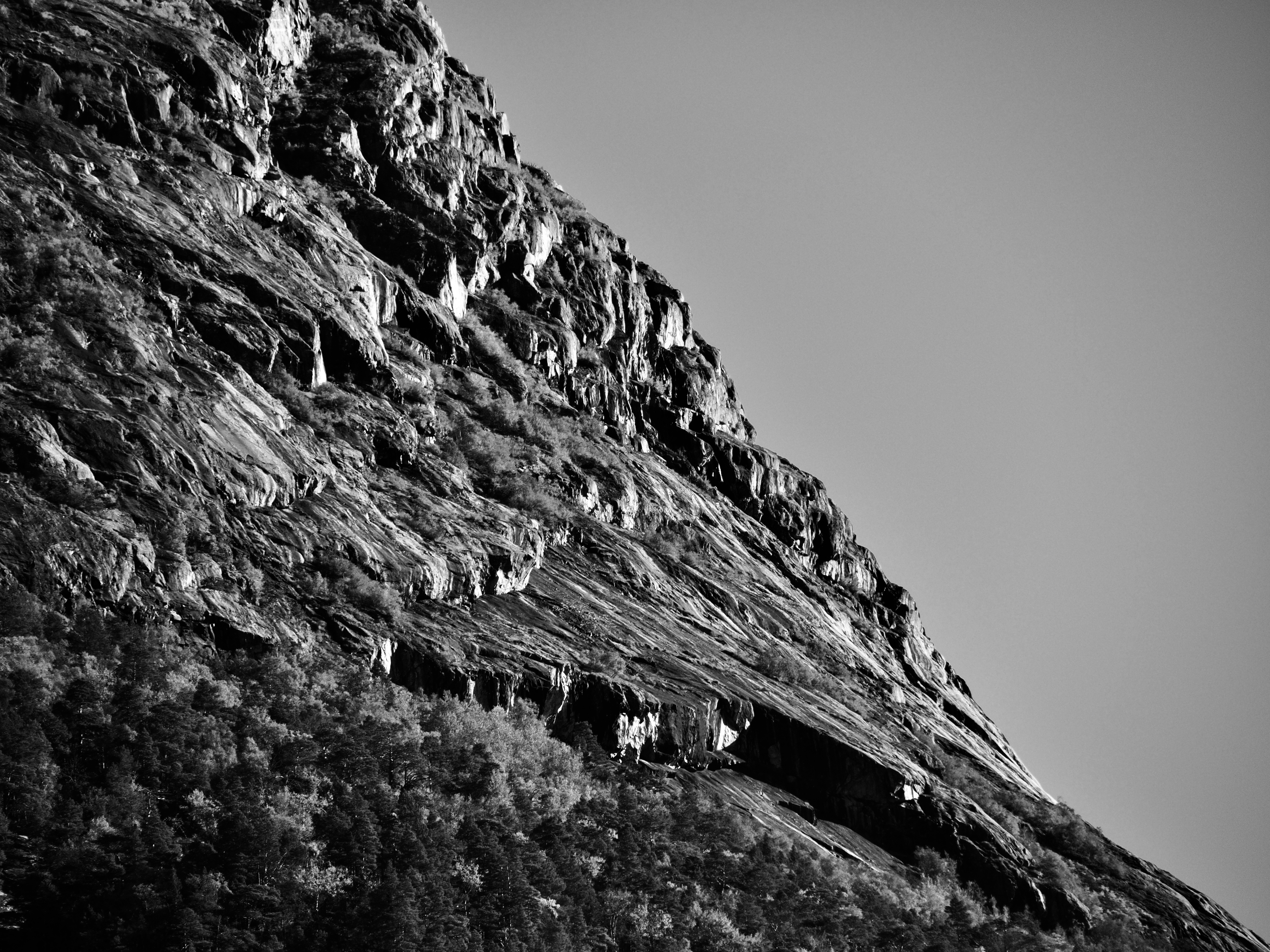 P9291690