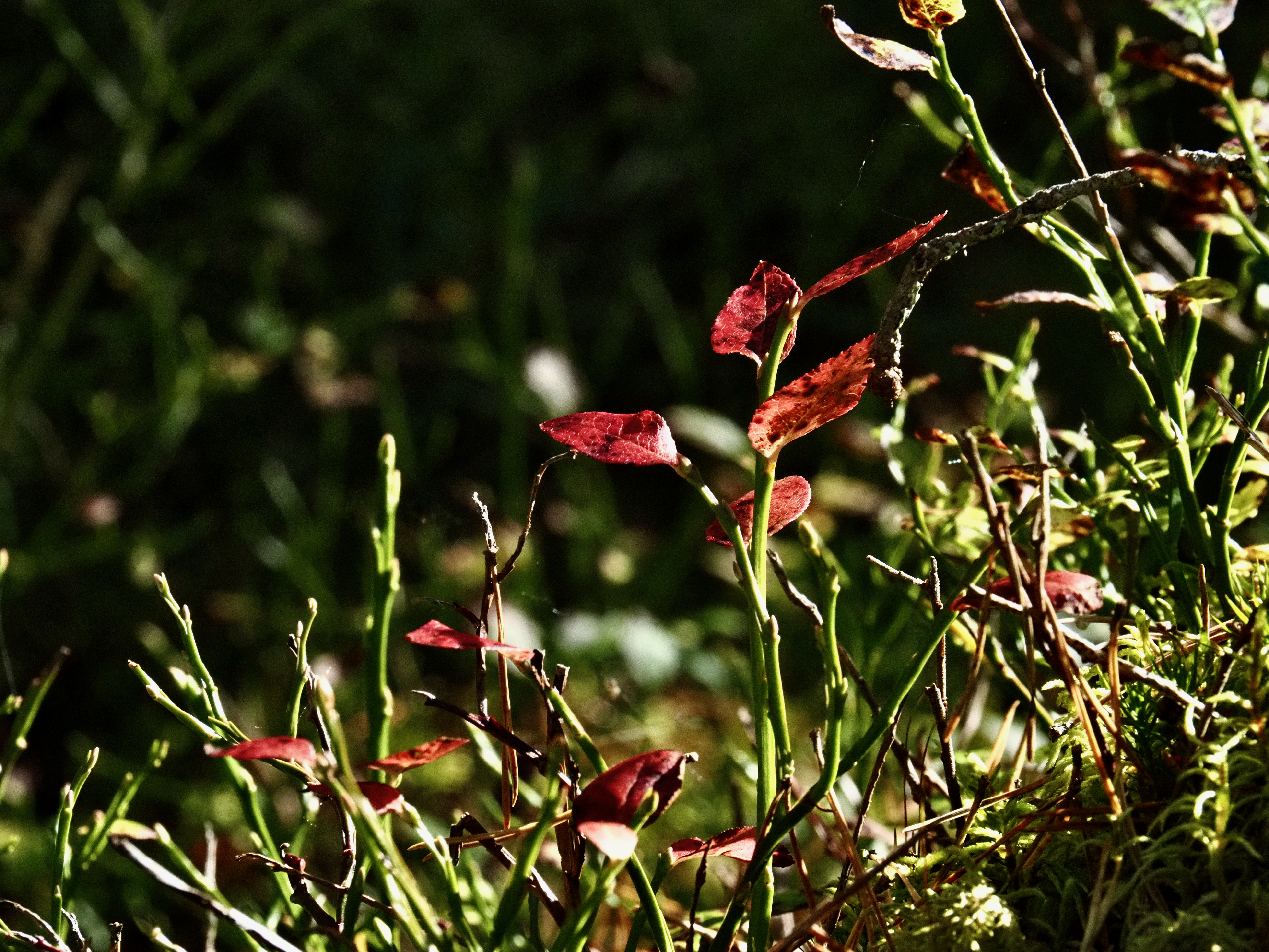 P9291792