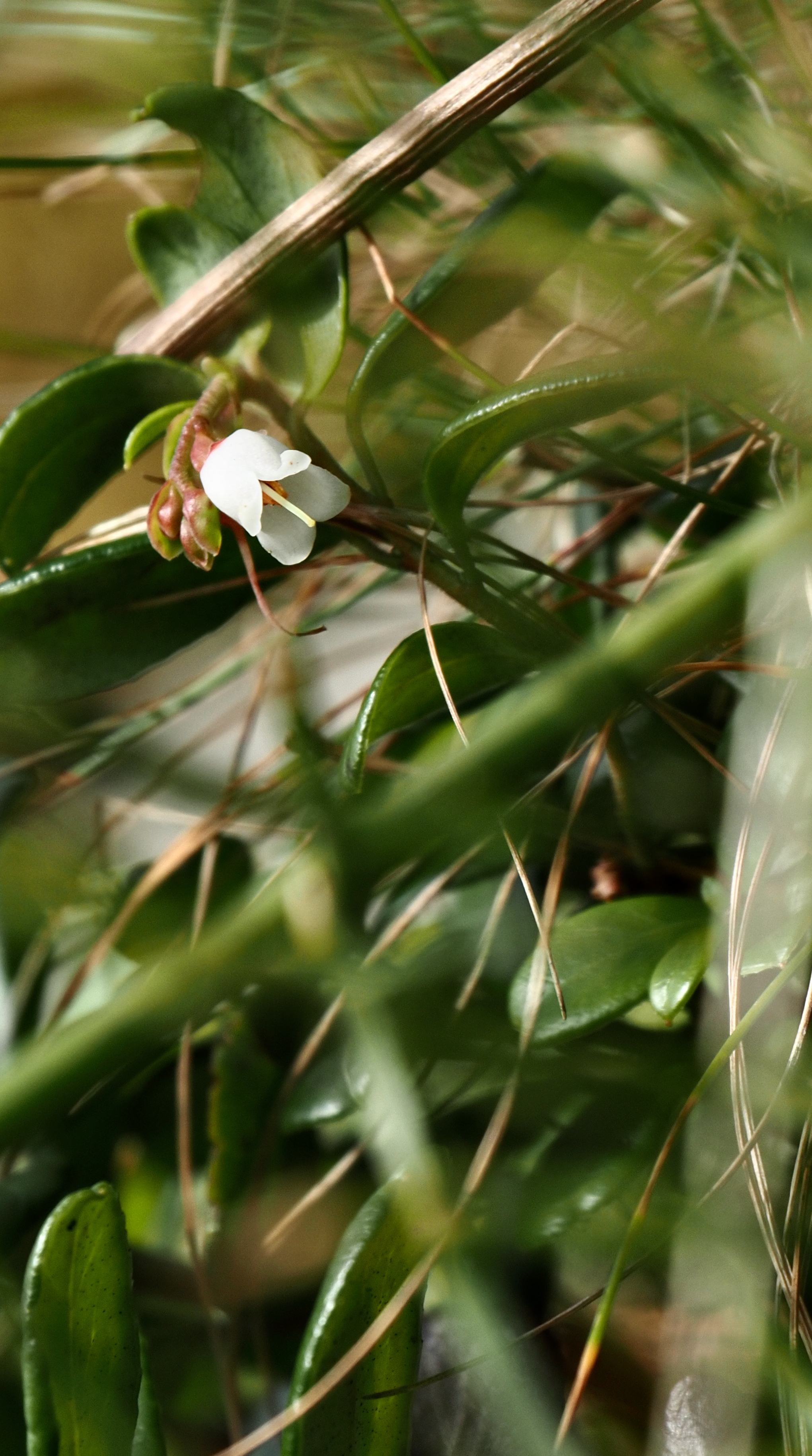 P9302959