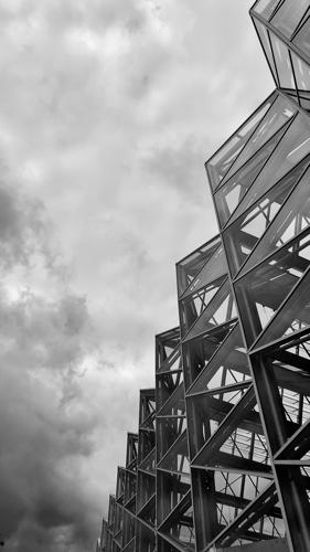 IMG_2911
