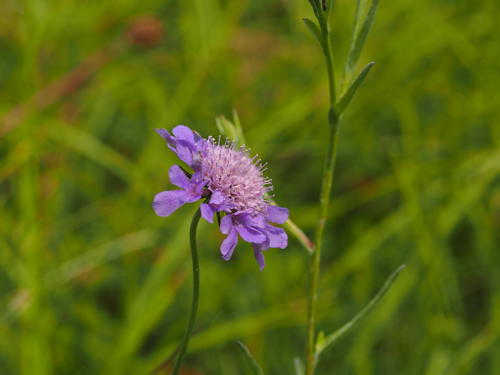 P6082091