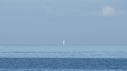 PA012599