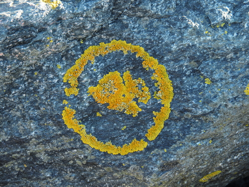 PA012648