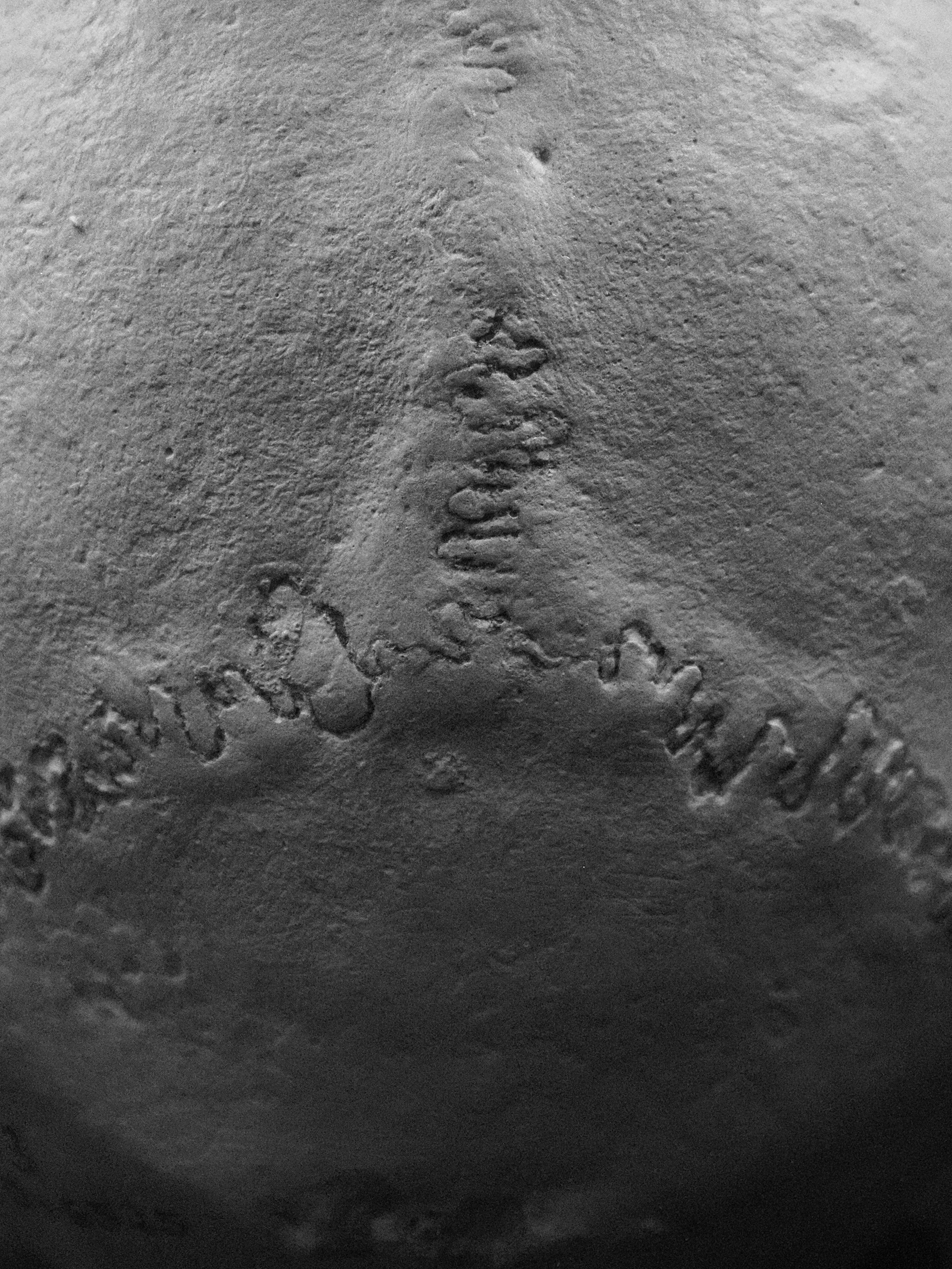 P5236055