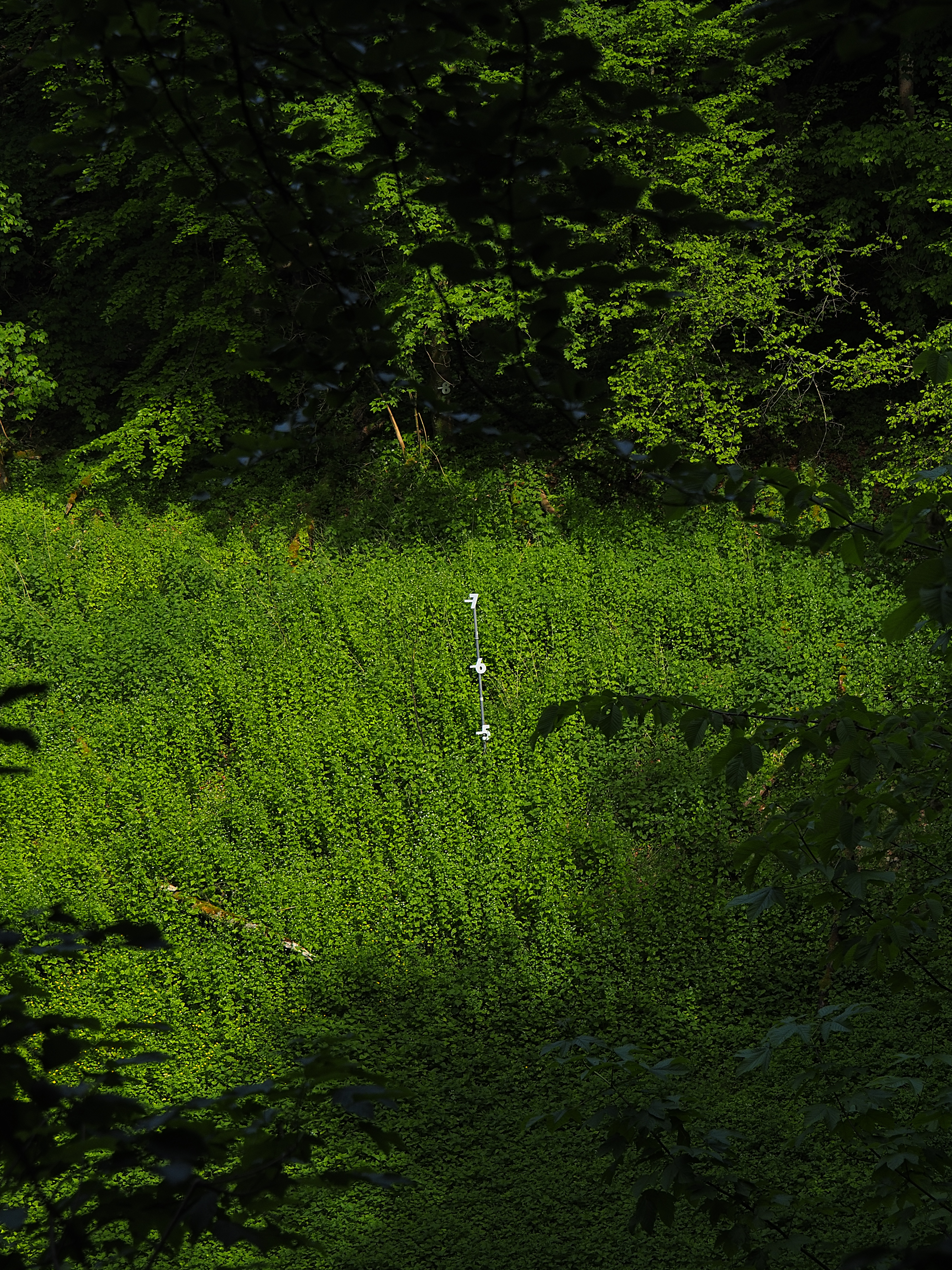 P5236188