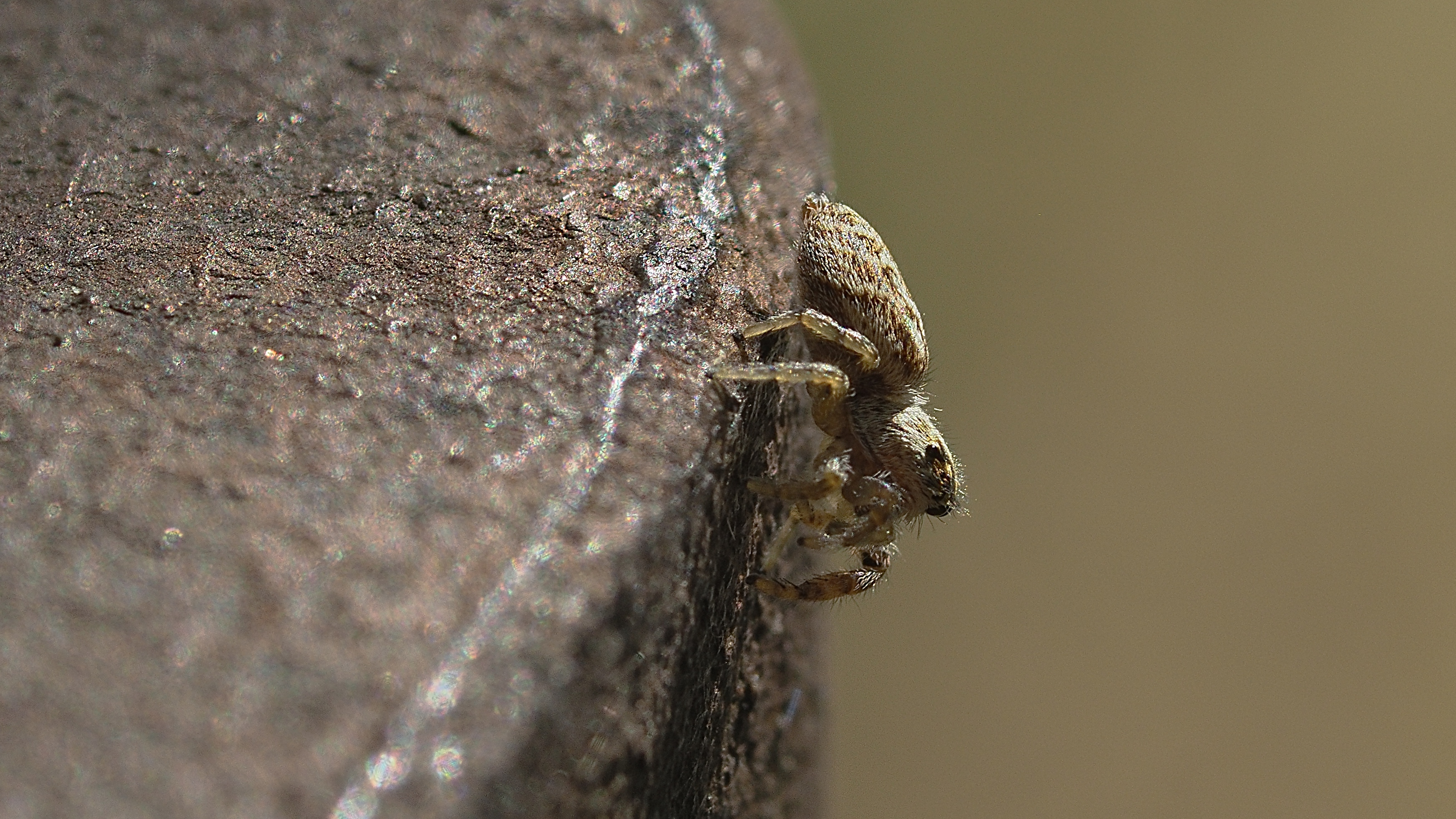 P7300857