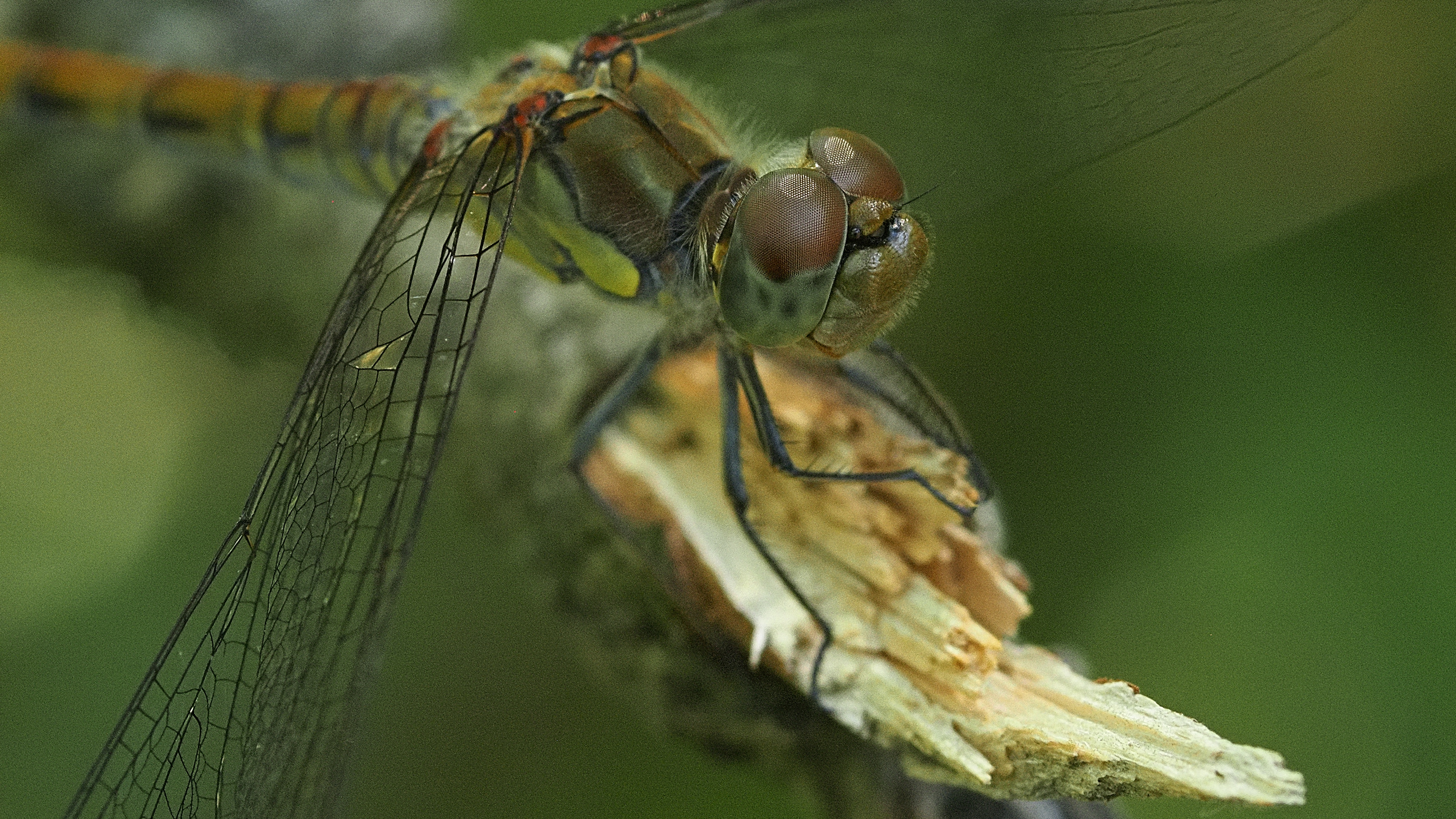 P7301017