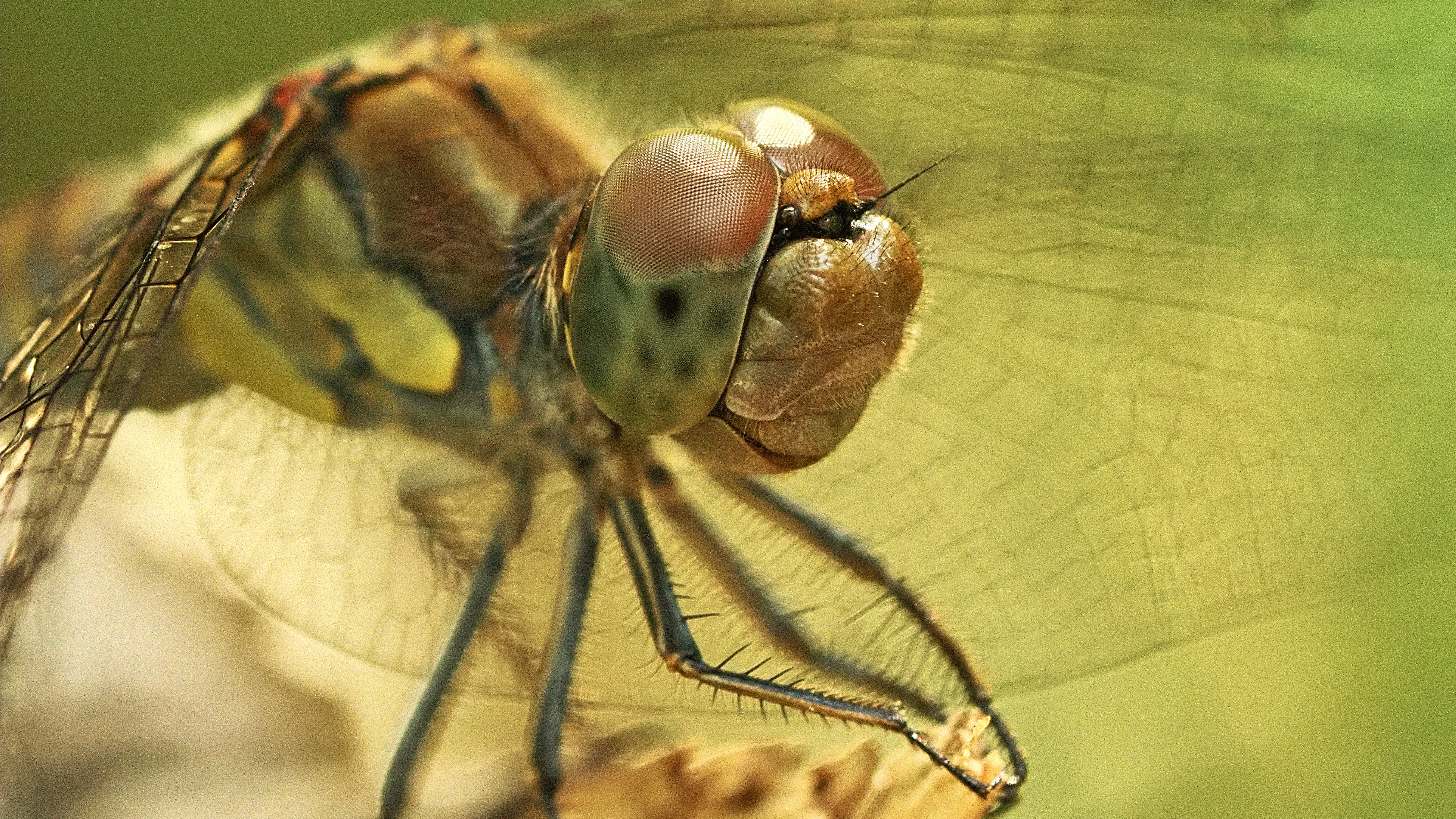 P7301051