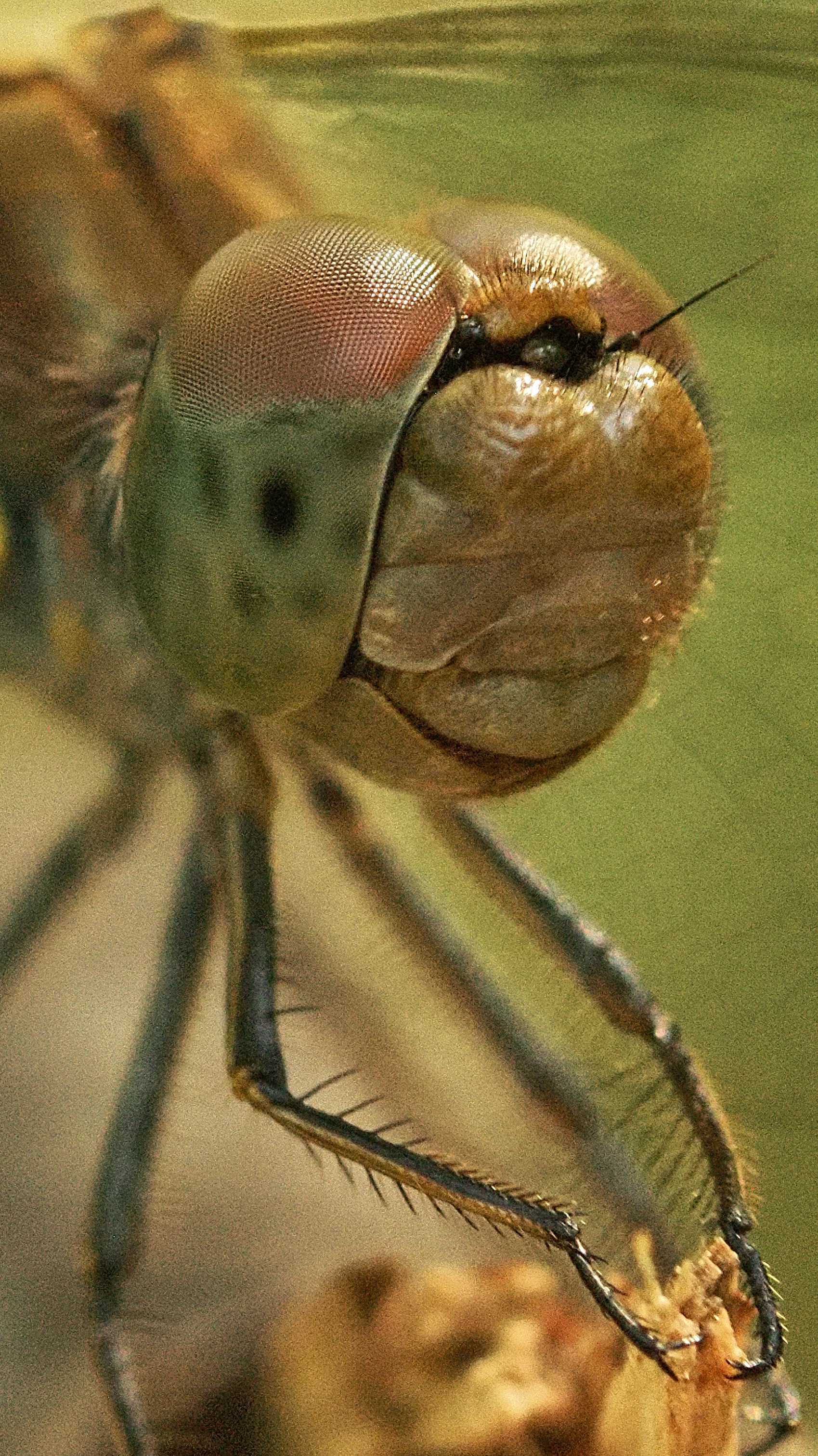 P7301091