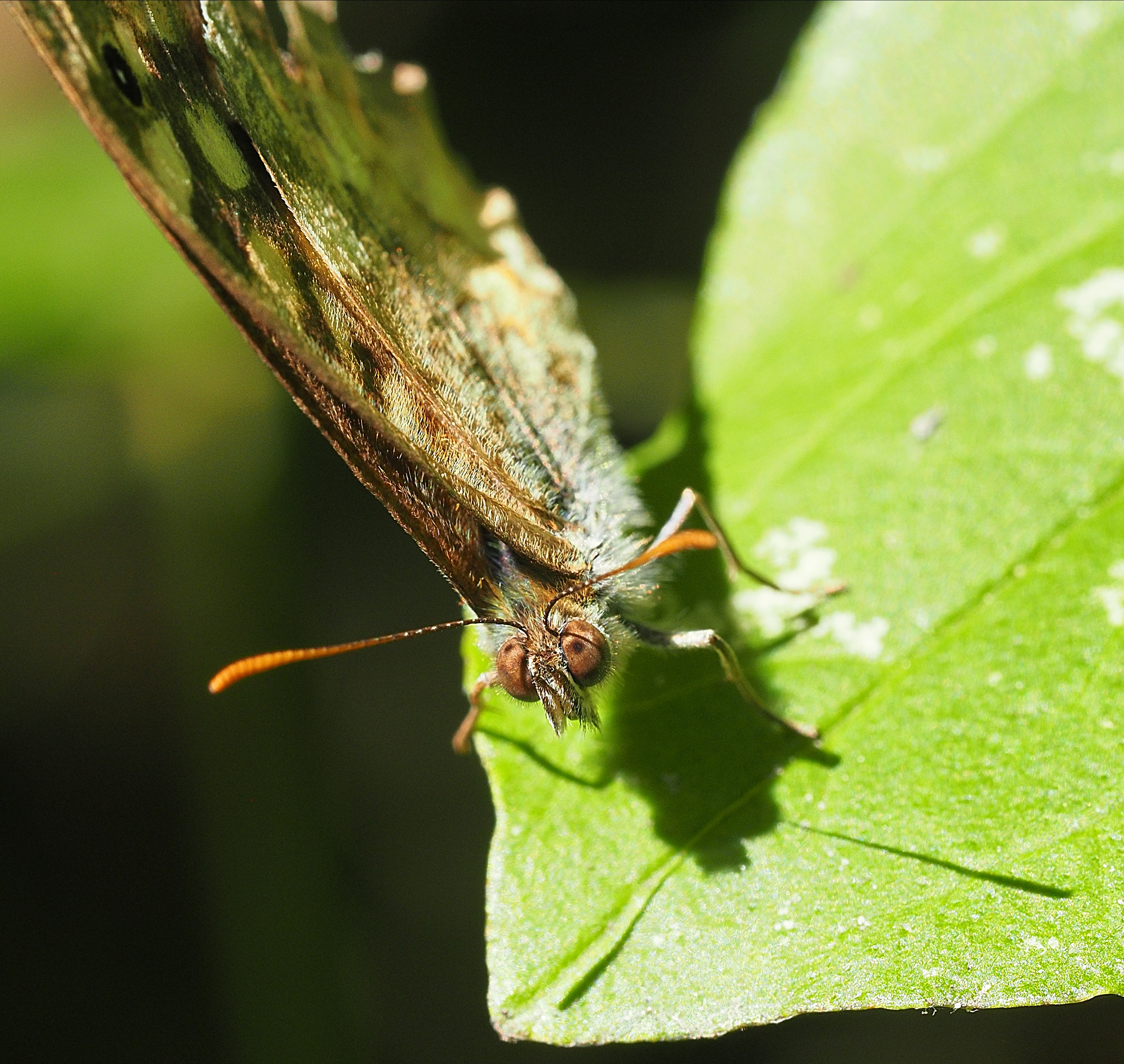P7301148