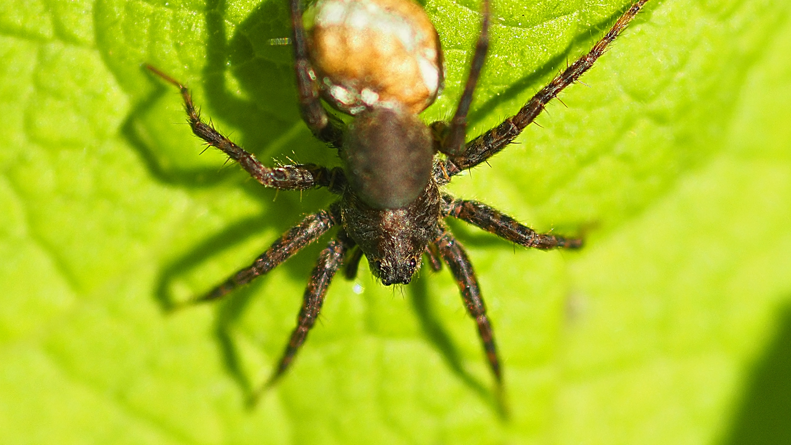 P8093023